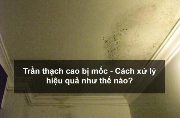 Trần thạch cao bị ngấm nước có sao không ? Giải pháp và cách phòng tránh giải pháp cho trần thạch cao bị ngấm nước